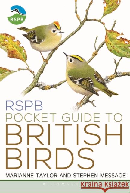 RSPB Pocket Guide to British Birds Marianne Taylor 9781472994721 Bloomsbury Publishing PLC - książka