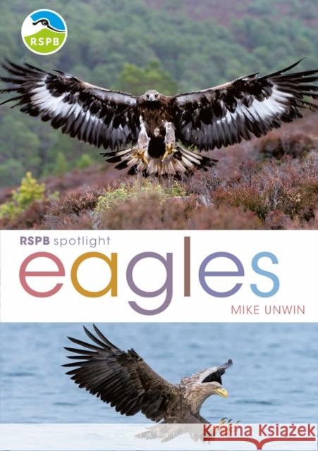 RSPB Spotlight: Eagles Mike Unwin 9781399402156 Bloomsbury Publishing PLC - książka