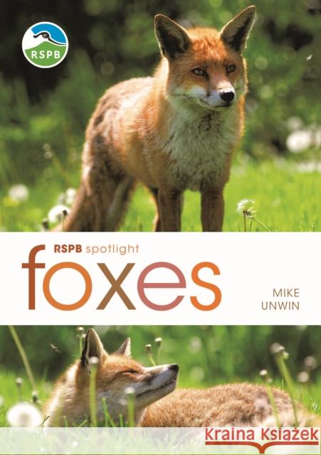 RSPB Spotlight: Foxes Mike Unwin 9781472982100 Bloomsbury Publishing PLC - książka