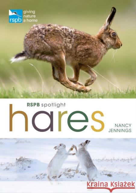 RSPB Spotlight Hares Nancy Jennings 9781399405041 Bloomsbury Publishing PLC - książka