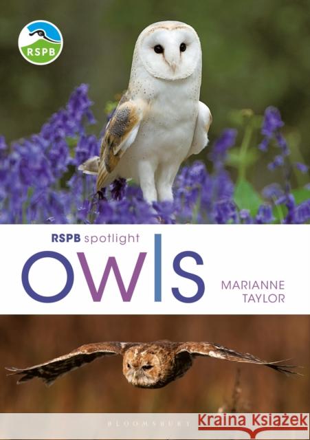 RSPB Spotlight Owls Marianne Taylor   9781472980281 Bloomsbury Publishing PLC - książka