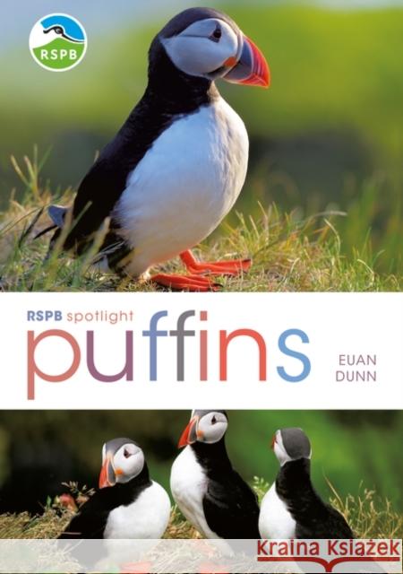 RSPB Spotlight: Puffins Euan Dunn 9781472965202 Bloomsbury Publishing PLC - książka