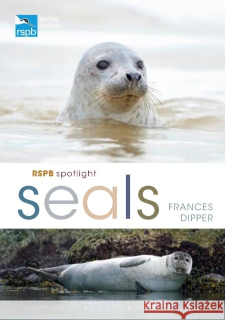 RSPB Spotlight Seals Dr Frances Dipper 9781472971623 Bloomsbury Wildlife - książka