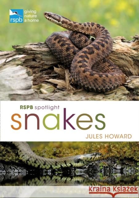 RSPB Spotlight Snakes Jules Howard 9781472971692 Bloomsbury Wildlife - książka