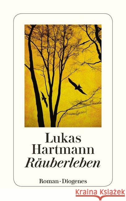 Räuberleben Hartmann, Lukas 9783257242058 Diogenes - książka