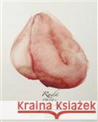 Rudá růže, černá gondola Miroslav Stuchlý 9788088367536 Nakladatelství Bor - książka