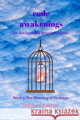 Rude Awakenings: An Adolescent's Search for Love Sandra M. Chaussee 9781723578410 Createspace Independent Publishing Platform - książka