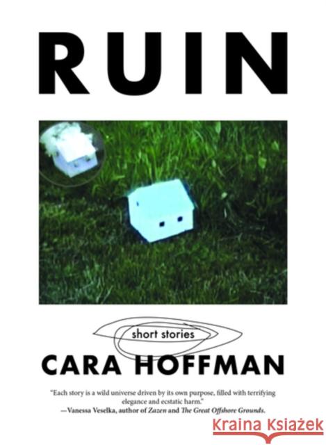 Ruin Cara Hoffman Jon Frankel 9781629639291 PM Press - książka
