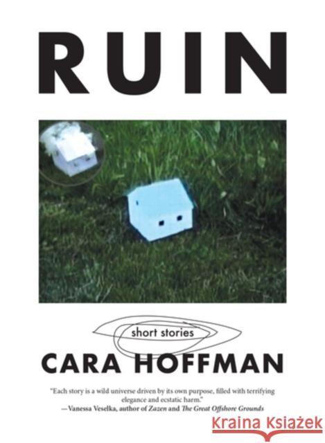 Ruin Cara Hoffman Jon Frankel 9781629639314 PM Press - książka
