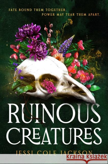Ruinous Creatures: A Novel Jessi Cole Jackson 9781668092897 Atria Books - książka