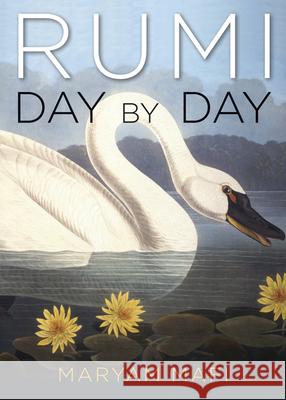 Rumi, Day by Day Maryam (Maryam Mafi) Mafi 9781571747006 Hampton Roads Publishing Company - książka