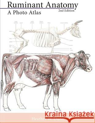 Ruminant Anatomy: A Photo Atlas Heather W. Dunn 9781500767600 Createspace Independent Publishing Platform - książka