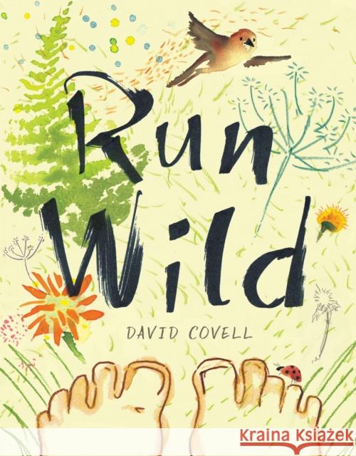 Run Wild David Covell 9780670014118 Viking Books for Young Readers - książka