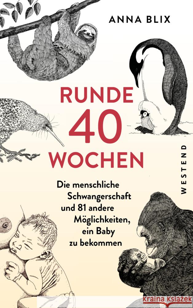 Runde 40 Wochen Blix, Anna 9783864894398 Westend - książka
