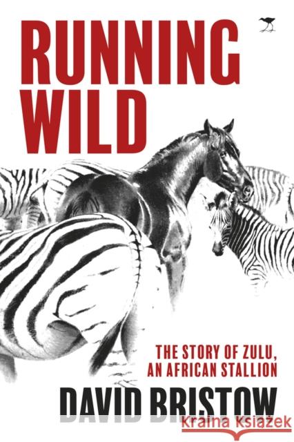 Running Wild: The Story of Zulu, an African Stallion Bristow, David 9781431425693  - książka
