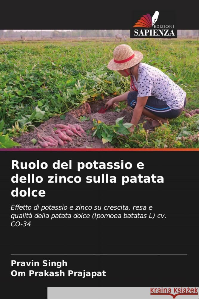 Ruolo del potassio e dello zinco sulla patata dolce Pravin Singh Om Prakash Prajapat 9786207350315 Edizioni Sapienza - książka