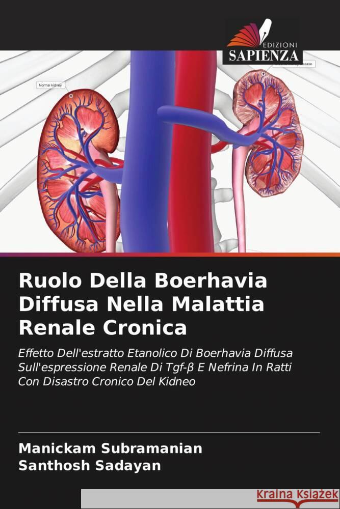 Ruolo Della Boerhavia Diffusa Nella Malattia Renale Cronica Manickam Subramanian Santhosh Sadayan 9786207431731 Edizioni Sapienza - książka
