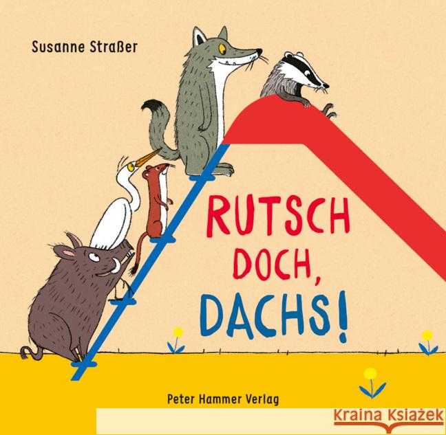 Rutsch doch, Dachs! Straßer, Susanne 9783779507819 Peter Hammer Verlag - książka