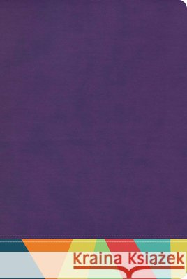 Rvr 1960 Biblia de Estudio Arcoiris, Morado/Multicolor B&h Español Editorial 9781087706054 B&H Espanol - książka