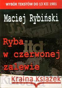 Ryba w czerwonej zalewie Rybiński Maciej 9788375651720 LTW - książka