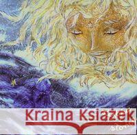 Rybka i słońce Wechterowicz Przemysław 9788362409129 Officyna - książka