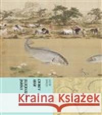 Ryby a draci Undine Radzevičiute 9788074434112 Větrné mlýny - książka