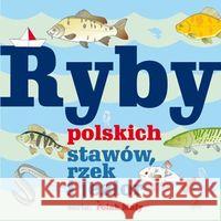 Ryby polskich stawów, rzek i jezior Fisher Władysław 9788389937605 Lettra-Graphic - książka