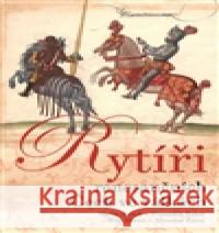 Rytíři renesančních Čech ve válkách Miroslav Žitný 9788074224096 NLN - Nakladatelství Lidové noviny - książka