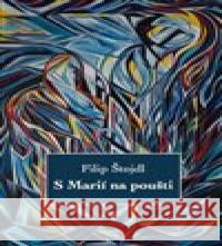 S Marií na poušti Filip Štojdl 9788027075621 Institut Plzeňské diecéze Církve českoslovens - książka