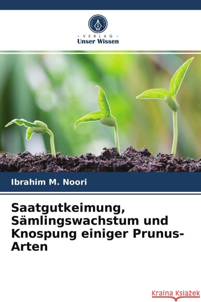 Saatgutkeimung, Sämlingswachstum und Knospung einiger Prunus-Arten M. Noori, Ibrahim 9786203698510 Verlag Unser Wissen - książka