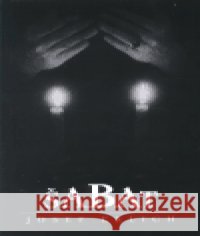 Šabat Josef Erlich 9788072033539 Argo - książka