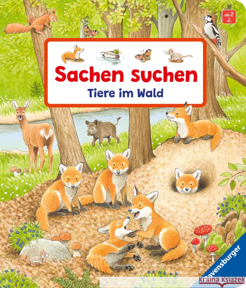 Sachen suchen: Tiere im Wald Gernhäuser, Susanne 9783473417483 Ravensburger Verlag - książka