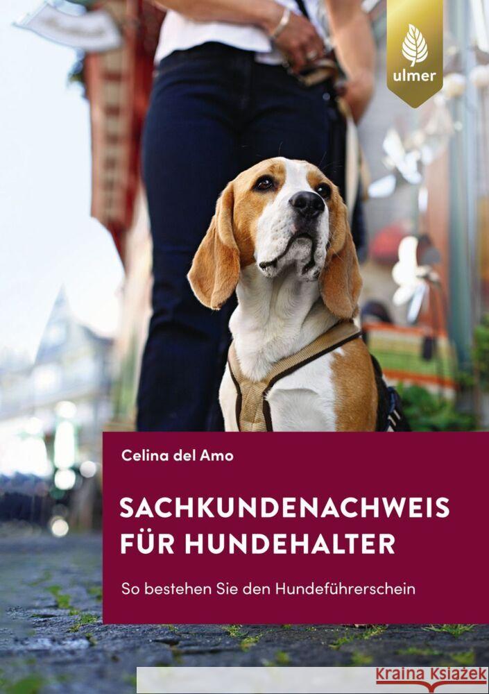 Sachkundenachweis für Hundehalter Del Amo, Celina 9783818616083 Verlag Eugen Ulmer - książka