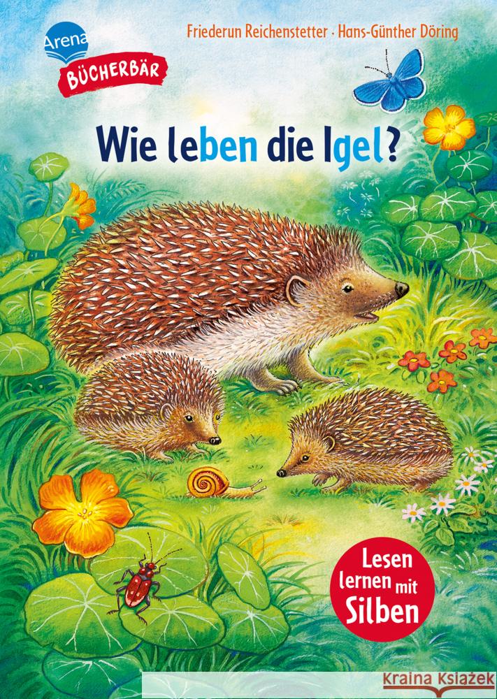 Sachwissen für Erstleser. Wie leben die Igel? Reichenstetter, Friederun 9783401721729 Arena - książka
