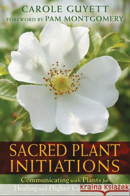 Sacred Plant Initiations: Communicating with Plants for Healing and Higher Consciousness Carole Guyett, Pam Montgomery 9781591432135 Inner Traditions Bear and Company - książka