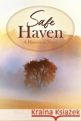 Safe Haven: A Historical Novel David R Gross 9781977255990 Outskirts Press - książka