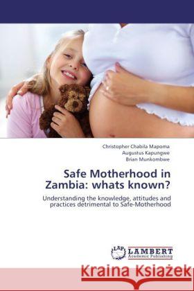 Safe Motherhood in Zambia: whats known? : Understanding the knowledge, attitudes and practices detrimental to Safe-Motherhood Mapoma, Christopher Chabila; Kapungwe, Augustus; Munkombwe, Brian 9783846593240 LAP Lambert Academic Publishing - książka