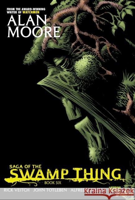 Saga of the Swamp Thing Book Six Moore, Alan 9781401246921 Vertigo - książka