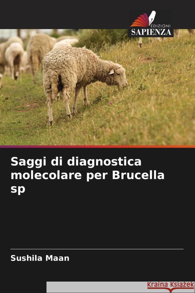 Saggi di diagnostica molecolare per Brucella sp Maan, Sushila 9786205447796 Edizioni Sapienza - książka