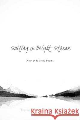 Sailing the Bright Stream: New & Selected Poems David Treadway Manning 9781950413256 Press 53 - książka