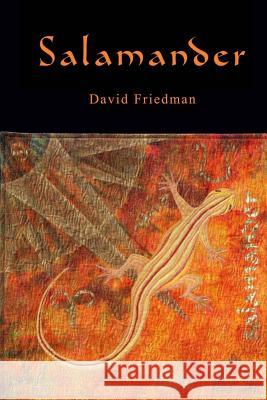 Salamander David D. Friedman 9781470084370 Createspace - książka