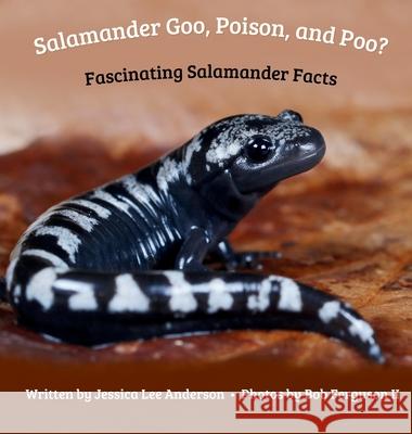 Salamander Goo, Poison, and Poo? Fascinating Salamander Facts Jessica Lee Anderson 9781964078434 Ao Press - książka