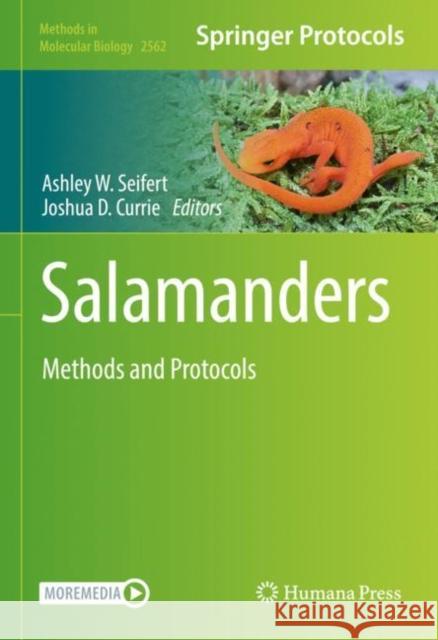 Salamanders: Methods and Protocols Ashley W. Seifert Joshua D. Currie 9781071626580 Humana - książka