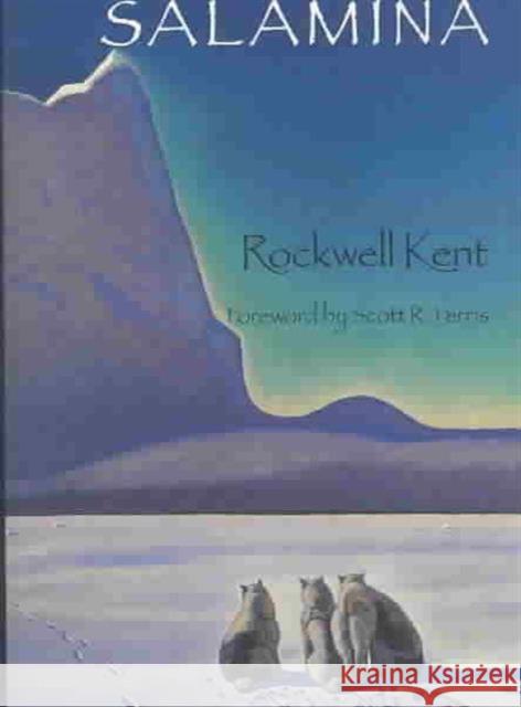 Salamina Rockwell Kent Scott R. Ferris 9780819566775 Wesleyan University Press - książka