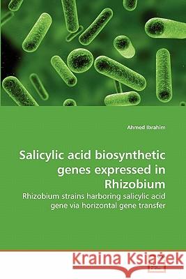 Salicylic acid biosynthetic genes expressed in Rhizobium Ibrahim, Ahmed 9783639269697 VDM Verlag - książka