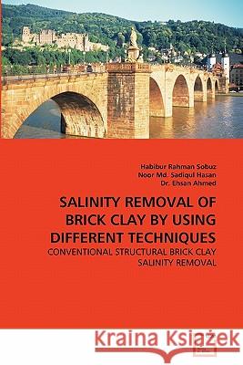 Salinity Removal of Brick Clay by Using Different Techniques Habibur Rahman Sobuz Noor M Dr Ehsa 9783639337082 VDM Verlag - książka