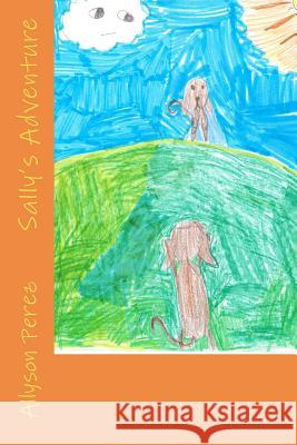 Sally's Adventure Allyson Perez 9781466483927 Createspace - książka