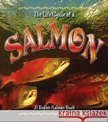 Salmon Kalman, Bobbie 9780778707059 Crabtree Publishing Company - książka