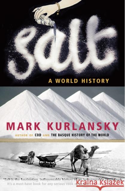 Salt Mark Kurlansky 9780099281993 Vintage Publishing - książka