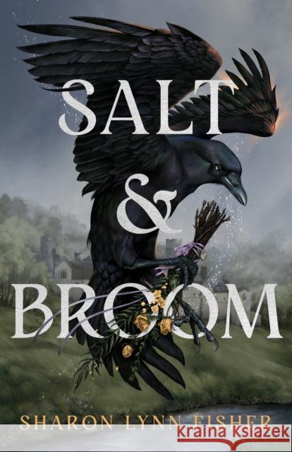 Salt & Broom Sharon Lynn Fisher 9781662515699 47north - książka